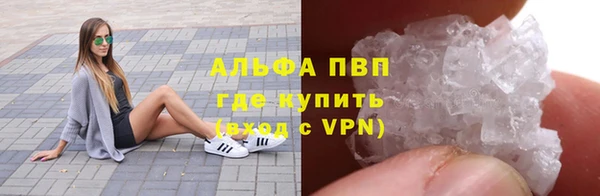 сатива Коряжма
