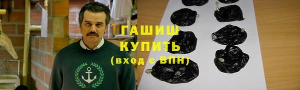 сатива Коряжма