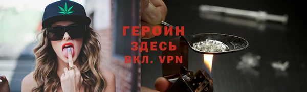 сатива Коряжма
