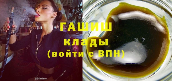сатива Коряжма