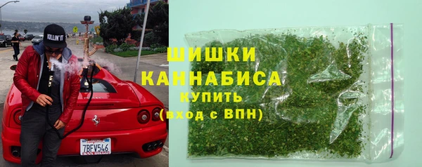 сатива Коряжма