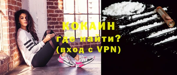 сатива Коряжма
