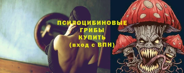 сатива Коряжма