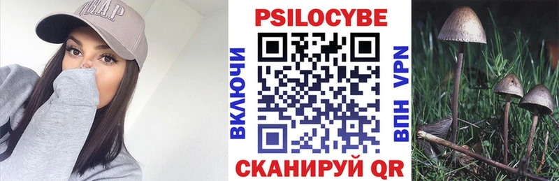 Купить  Сорск  Псилоцибиновые грибы GOLDEN TEACHER 